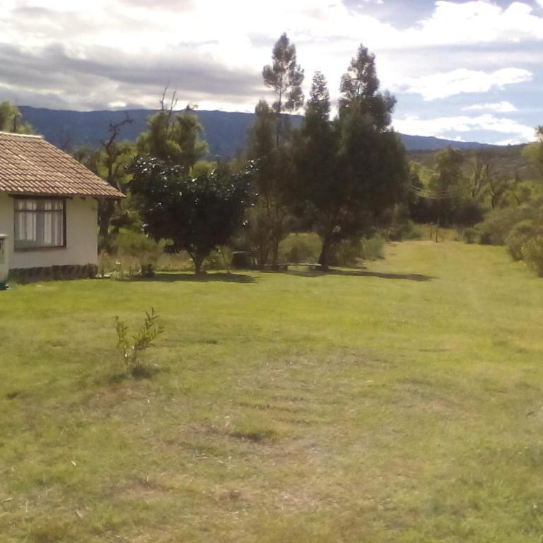 Hospedaje y Zona de Camping Pistacho - Double Room - 5