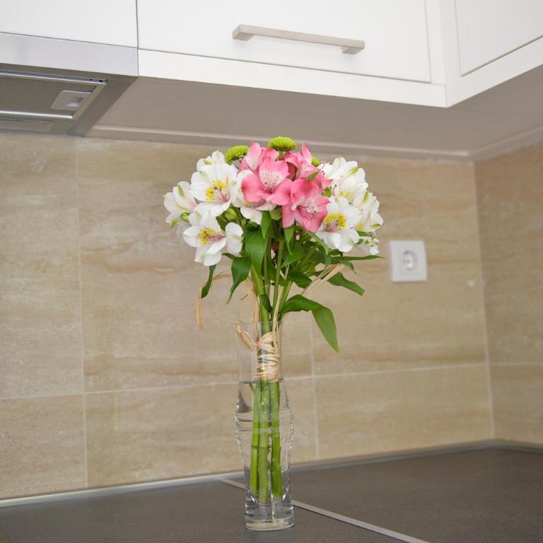 Apartments Posto Capitano 0202 - Studio - 13