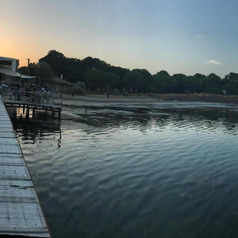 Sete Seaside Beauty - Villa - Beach Front - 8