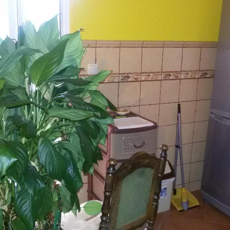 Guesthouse Djacic - Studio sa Balkonom - 26