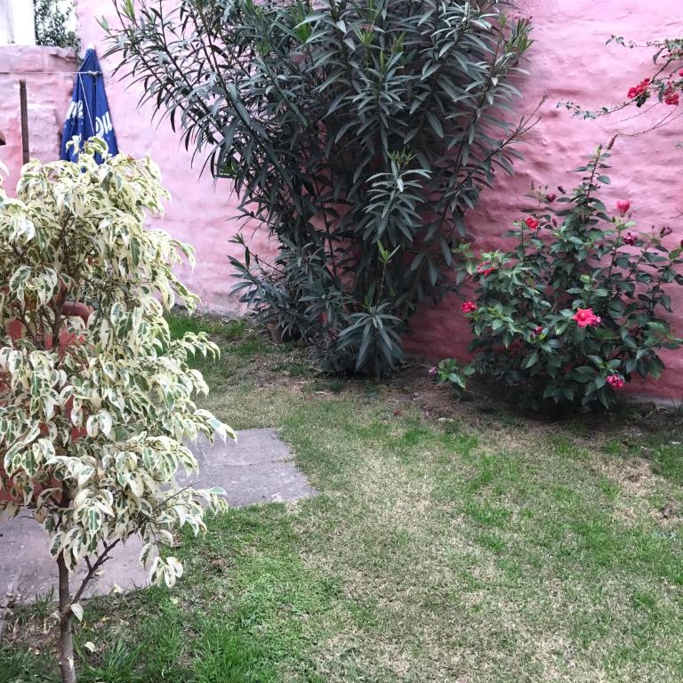 LF Departamentos - Apartamento de 2 dormitorios - 27