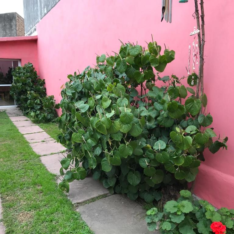 LF Departamentos - Apartamento de 2 dormitorios - 31