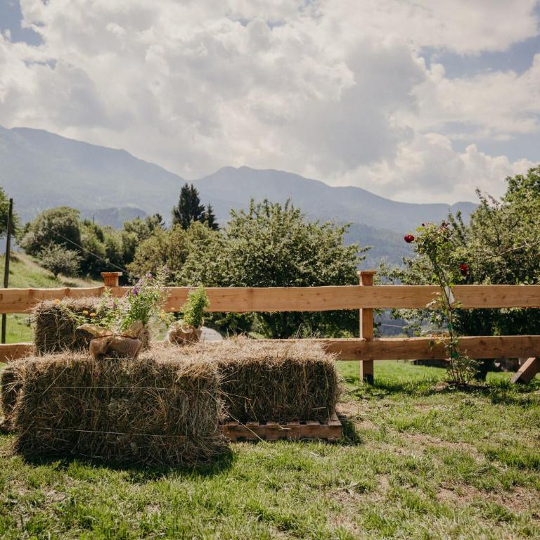Maso Del Fieno con Sauna Privata e Vista Unica - Chalet (6 Adulti) - 72