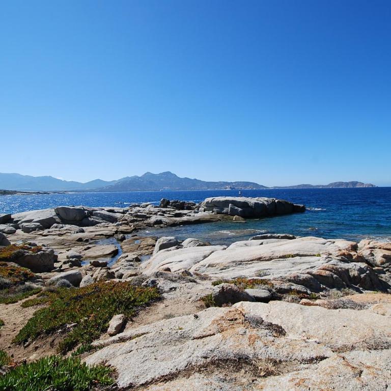 Mare appart avec jardin et bbq vue mer et montagne plage et port à 2 pas - Appartement - 4