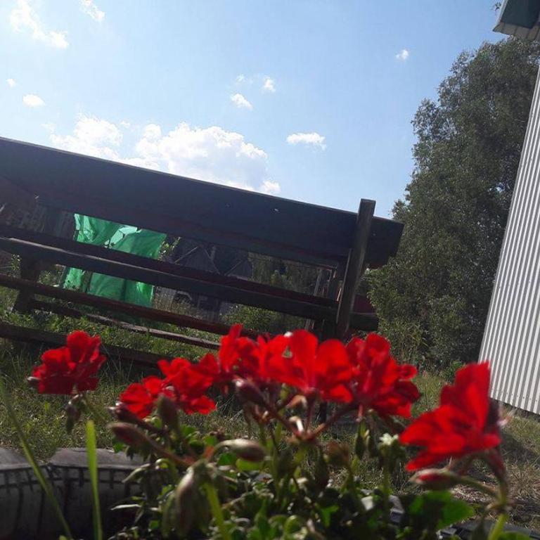 Apartments Zekovic - Twin Room - 2