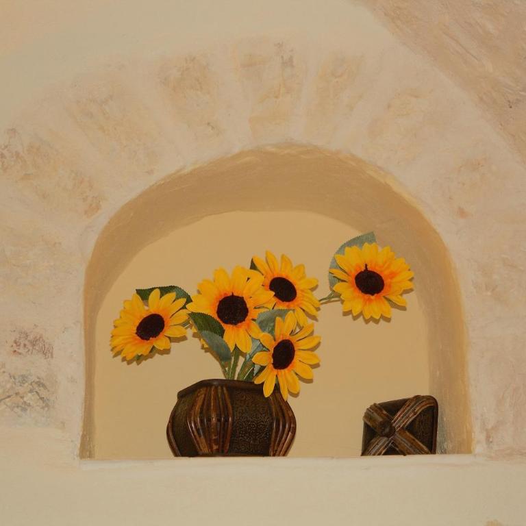 Casa Jenny - Appartamento - 16