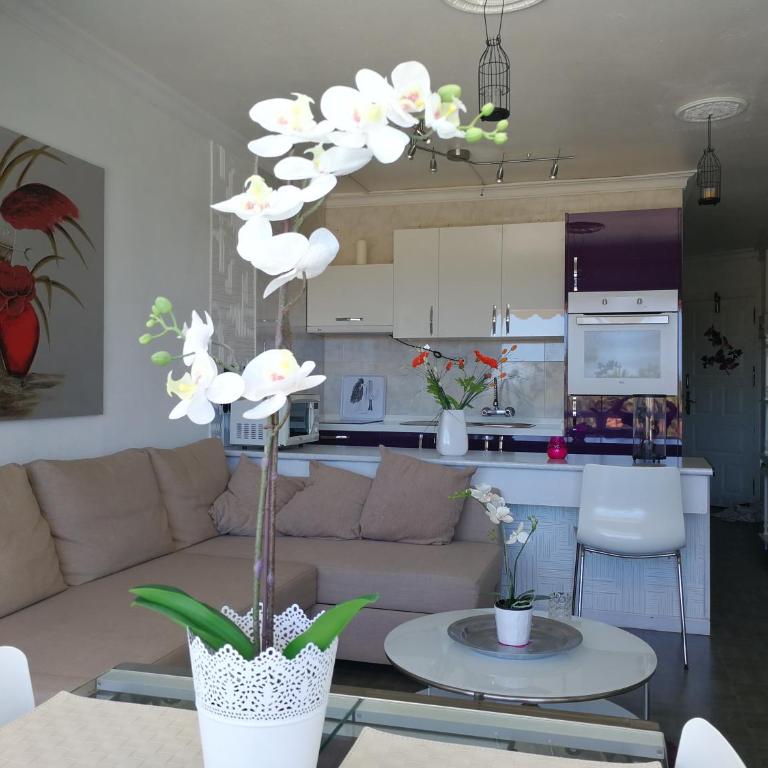 Aloe New Excellence - Apartamento con vistas a la piscina - 7