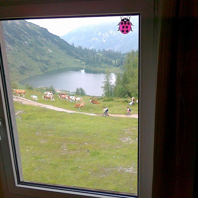 Hotel Tauplitzalm - Chambre Simple - 5