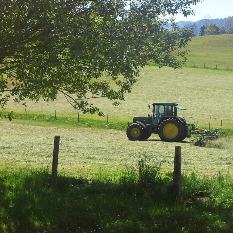 Haus Bergpanorama - Doppel-/Zweibettzimmer mit Bad - 8