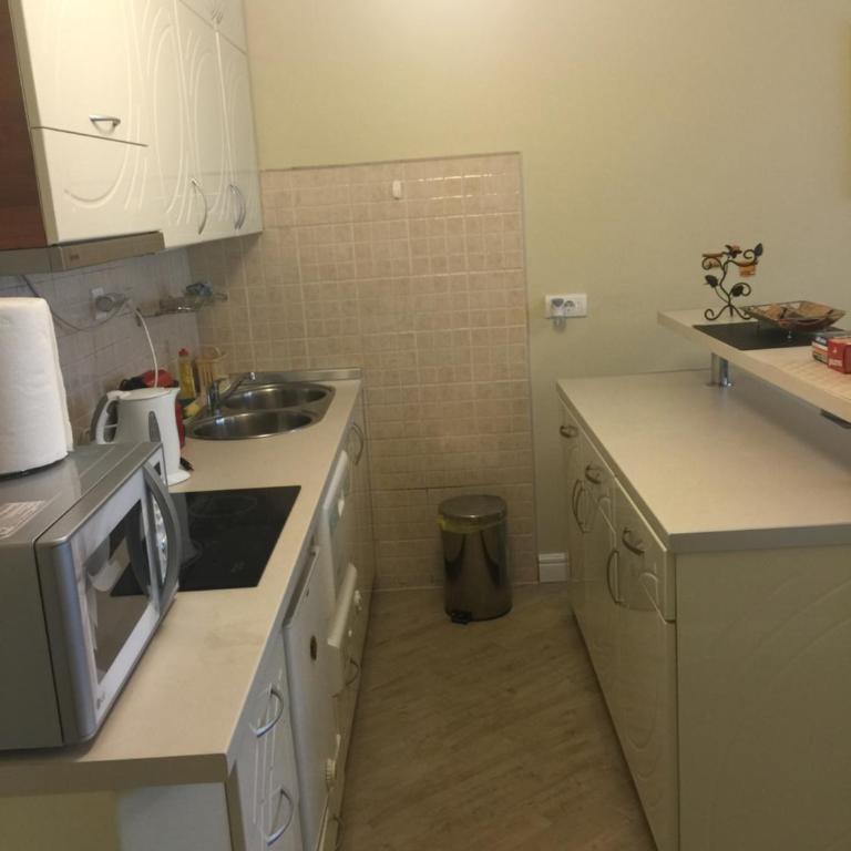 Apartment Bitef Centar - Apartman sa 1 Spavaćom Sobom - 10