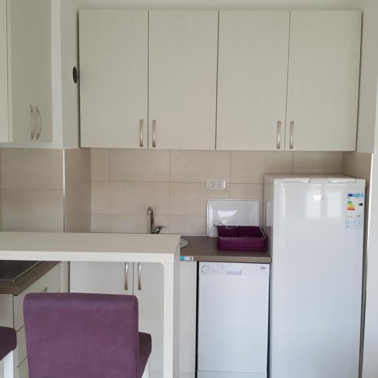 Zebra - Studio Apartment - 10