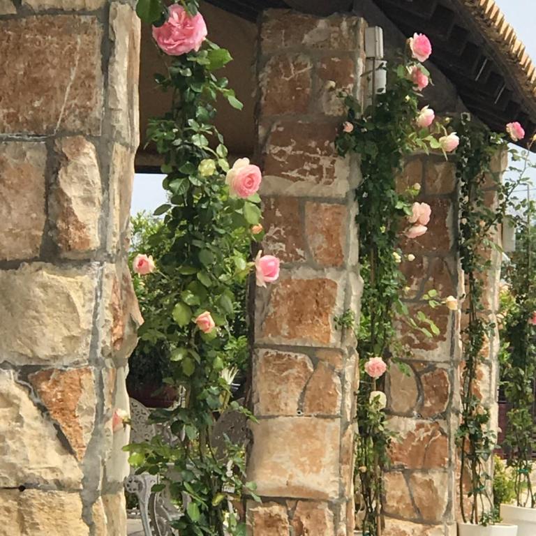 Mythos Holidays & Events - Casa Vacanze - 64