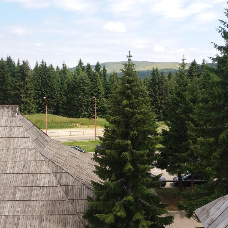 Apartment Maja Konaci - Apartment with Mountain View - 49