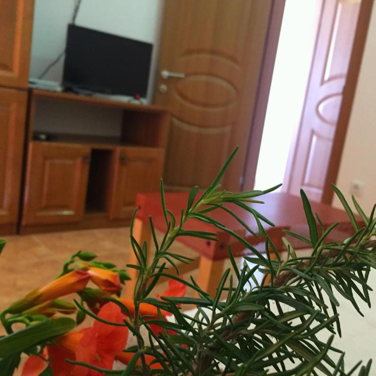 Friendly House - Deluks Apartman - 16
