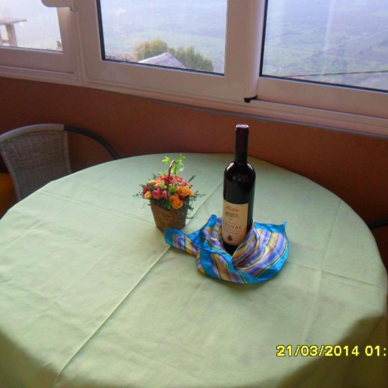 Apartmani Jazz Aleksandra - Apartman sa Jednom Spavaćom Sobom i Balkonom (4 Odrasle Osobe) - 27