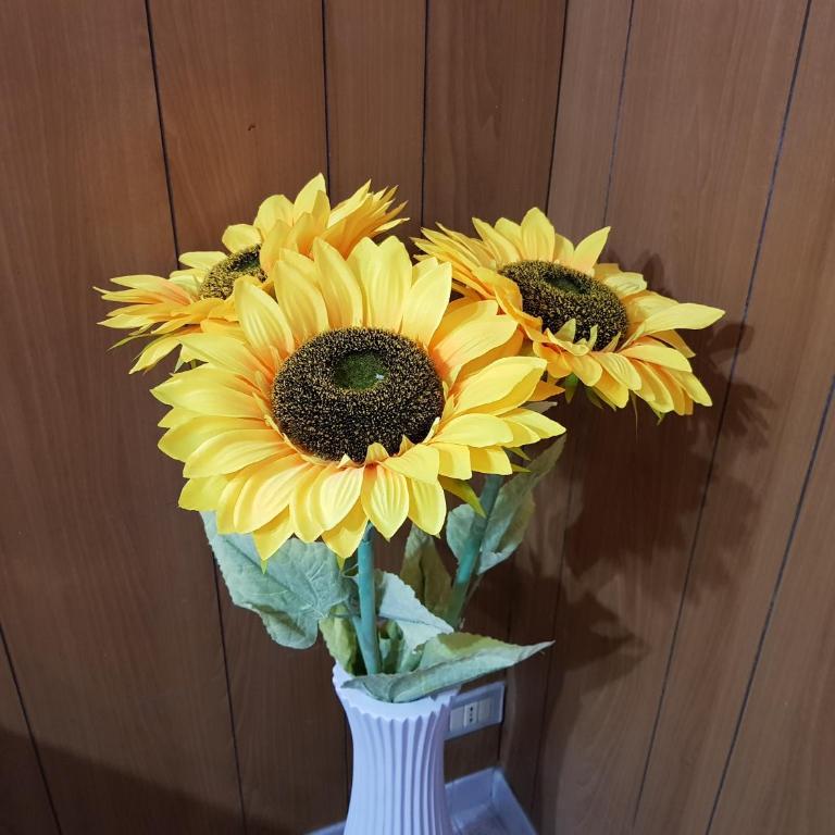 Holiday house Chiara - Casa Vacanze - 38