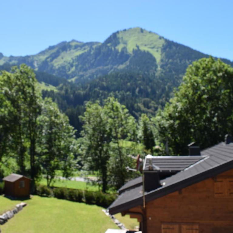 Chalet Nina - Chalet Supérieur - 9