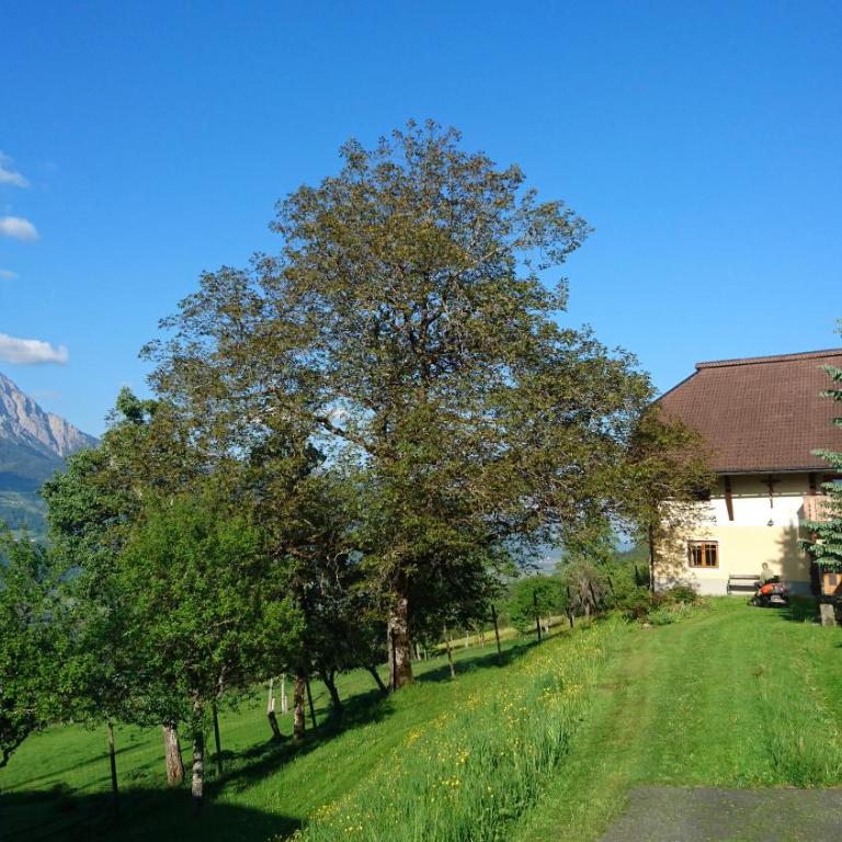 Chalets Alpin Kronhof - Apartment mit Blick auf die Berge - 1