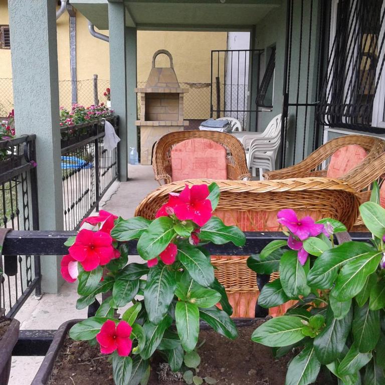 Apartment Pavlovic - Apartman - Prizemlje - 53