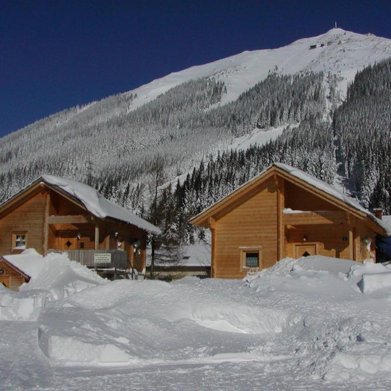 Almdorf Präbichl - Chalet (6 Erwachsene) - 19