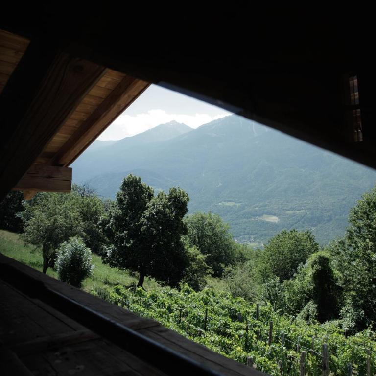 La casa di paglia B&B - Camera Matrimoniale con Vista Montagna - 4
