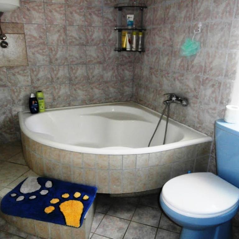 Apartments Vila Gerbera - Four-Bedroom Apartment - 2