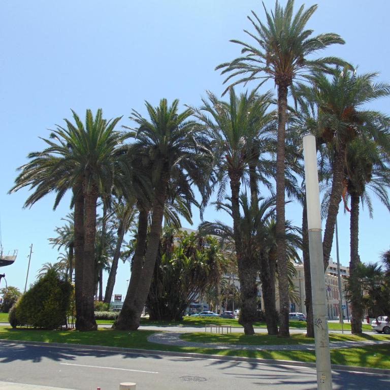 Apartamentos Playa Postiguet Alicante - Apartment with Sea View - 52