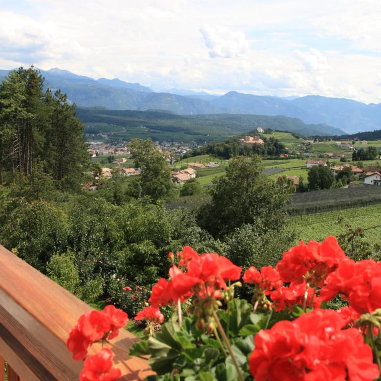 Kreuzstein Bed&Breakfast - Camera Matrimoniale con Balcone - 1