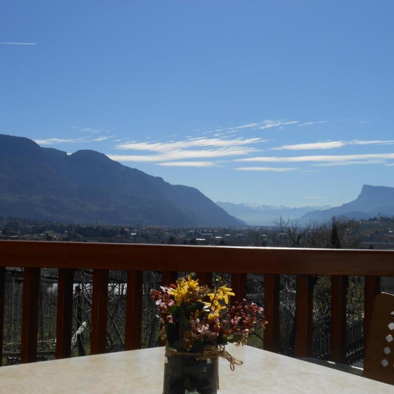 Törggelehof - Appartement avec Vue et Balcon - 18