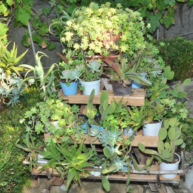 Apartments La Dolce Vita - Apartment with Balcony - 15