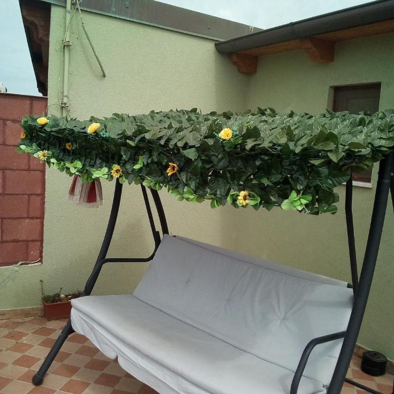 Il Tramonto Balaguer - Apartment with Sea View - 10