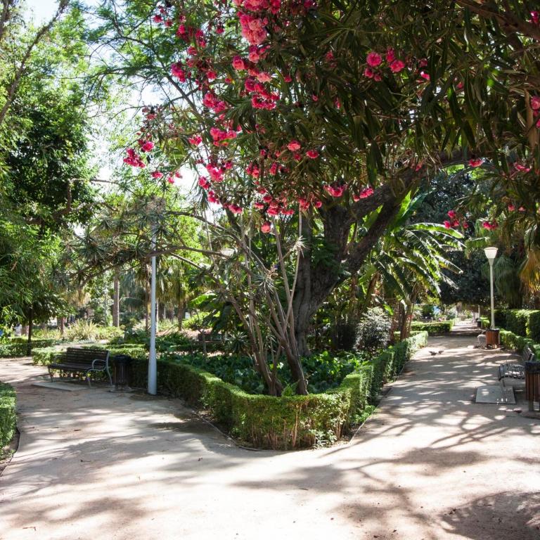 Cortina Apartments ! - Apartamento Estudio - 19