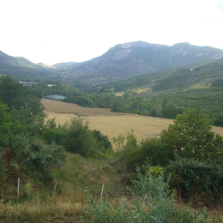 Maison de Campagne aux deux Oliviers - Maison de Vacances - 18