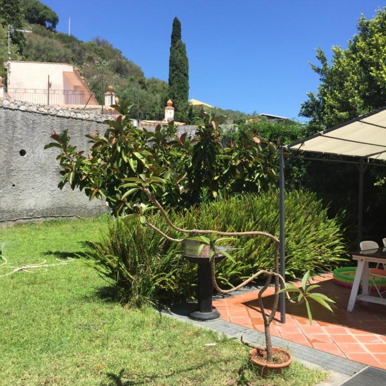Cottage on the Beach - Casa Vacanze con 2 Camere da Letto - 4