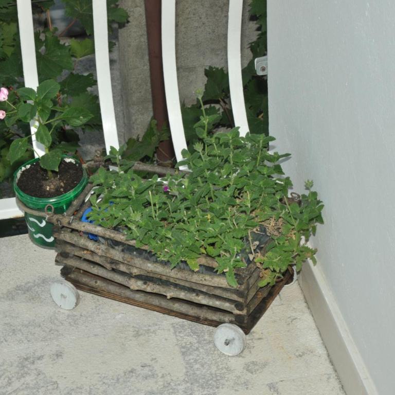 Apartments La Dolce Vita - Apartment with Balcony - 16