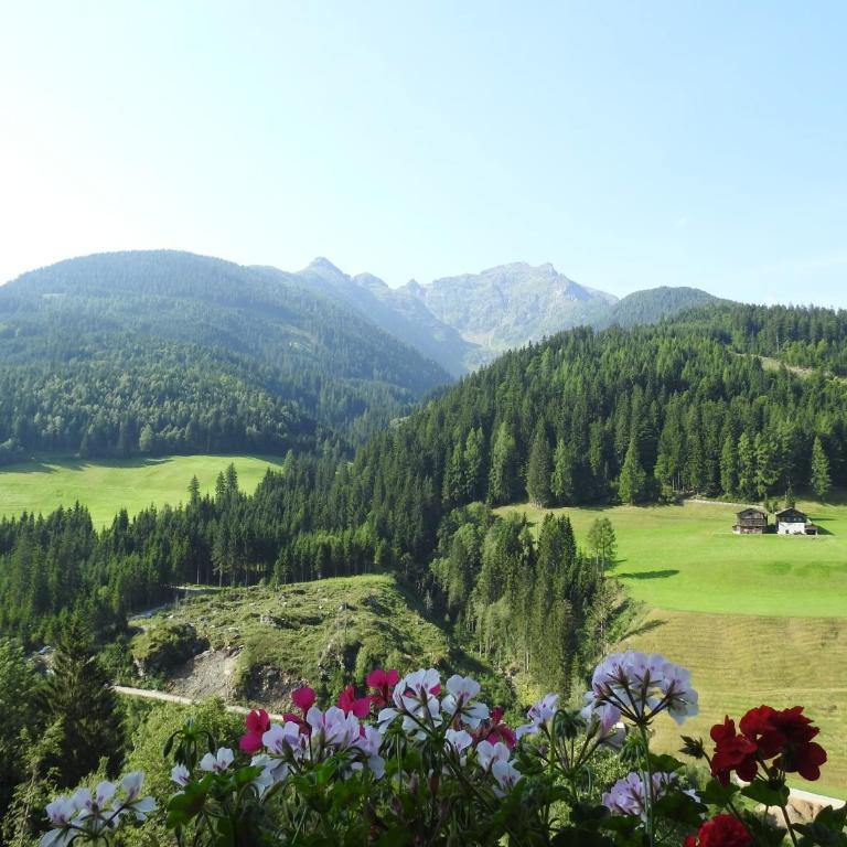 Alpakahof Strieder - Apartment mit Blick auf die Berge - 2