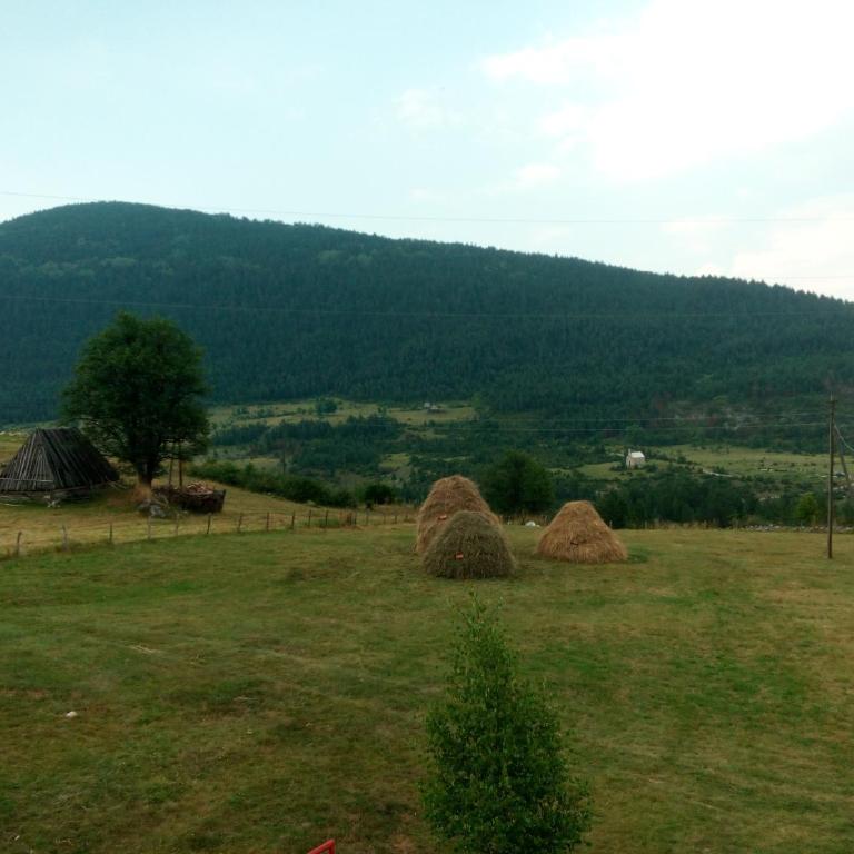Holiday Home Usovic - Vacation Home - 12