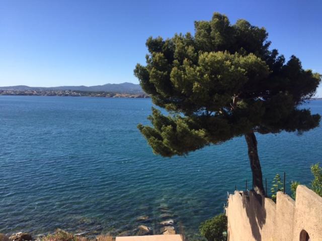 Sanary - Appartement - Vue sur Mer - 11