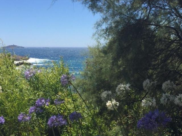 Sanary - Appartement - Vue sur Mer - 8