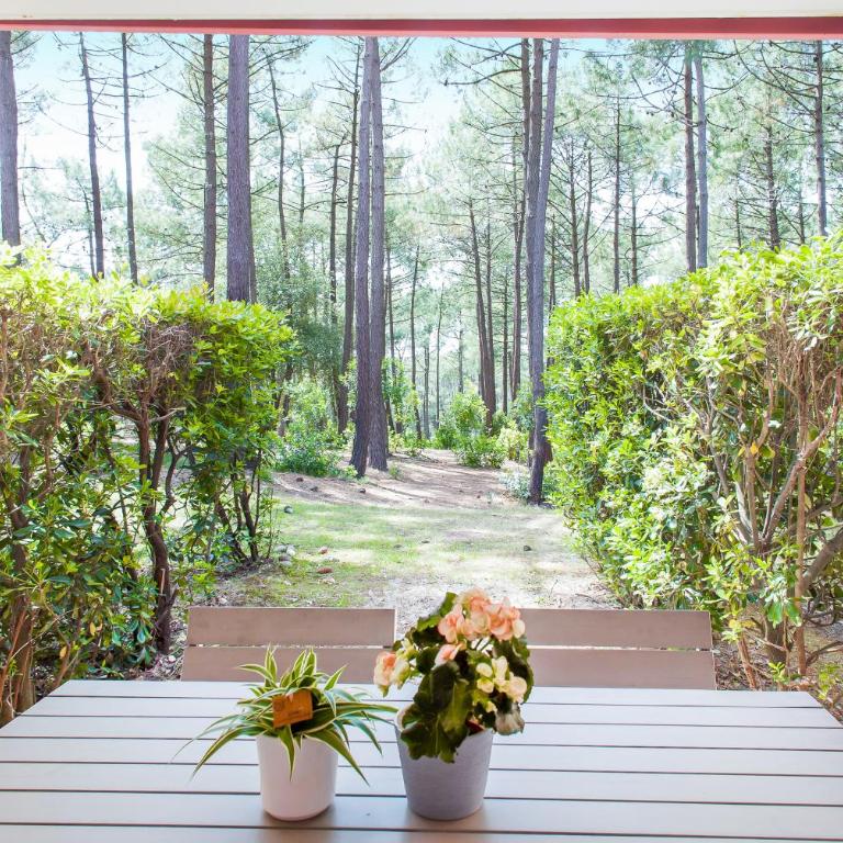 Residence Lacanau Les Pins - maeva Home - Appartement Select 1 Chambre (5 Personnes) - 10