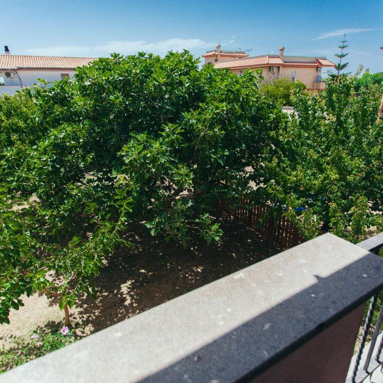 Domus Leonardo-Private Free Parking - Appartamento con Vista Giardino - 34