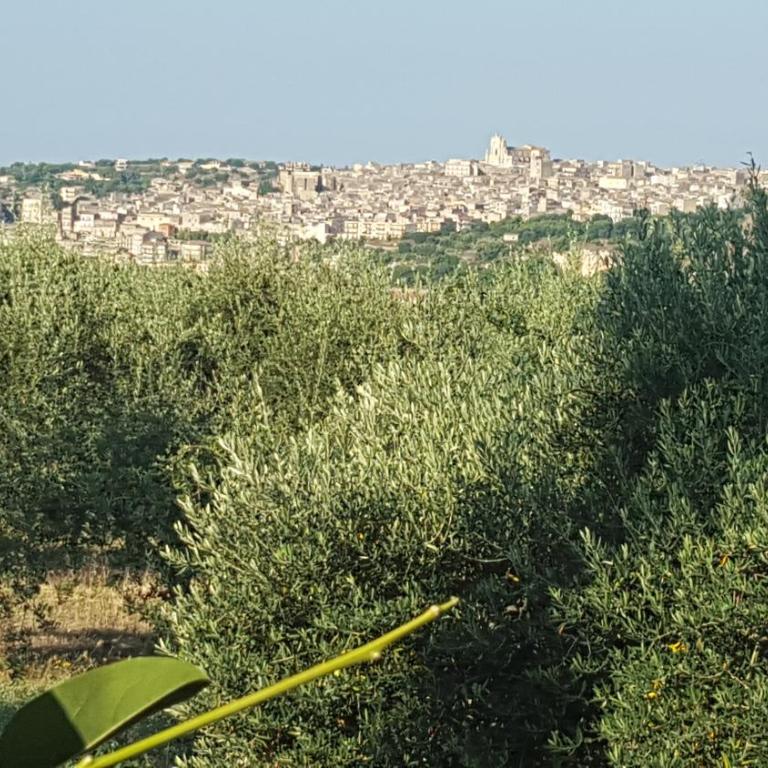 Le Rose di Modica - Casa con 1 Camera da Letto - 16