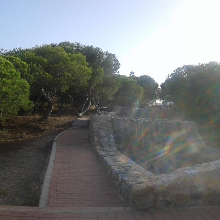 Apartement à La Mata - Apartamento - Planta baja - 50