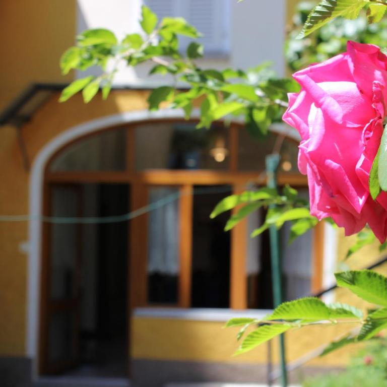 Rose Apartment by Quokka 360 - Refined Two-Bedroom Apartment with Garden - Appartamento con 2 Camere da Letto - 29