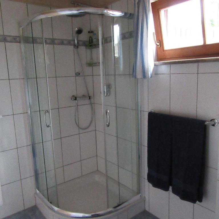 Alpen-Chalet Ehrwald - Einlieger-Apartmentzimmer (Wohn-, Schlaf. mit Kueche und Bad) im Tiefparterre - 6