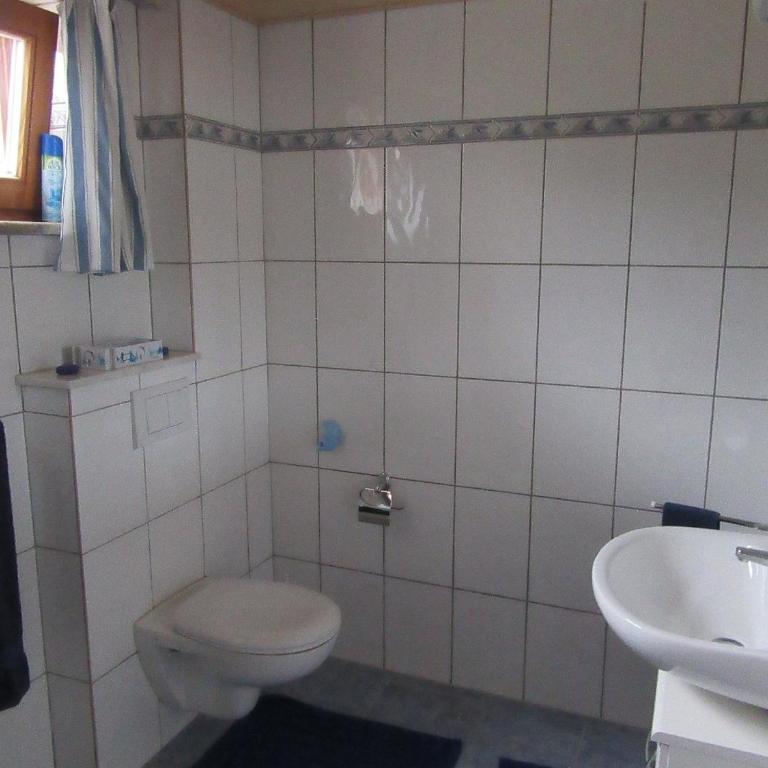 Alpen-Chalet Ehrwald - Einlieger-Apartmentzimmer (Wohn-, Schlaf. mit Kueche und Bad) im Tiefparterre - 7