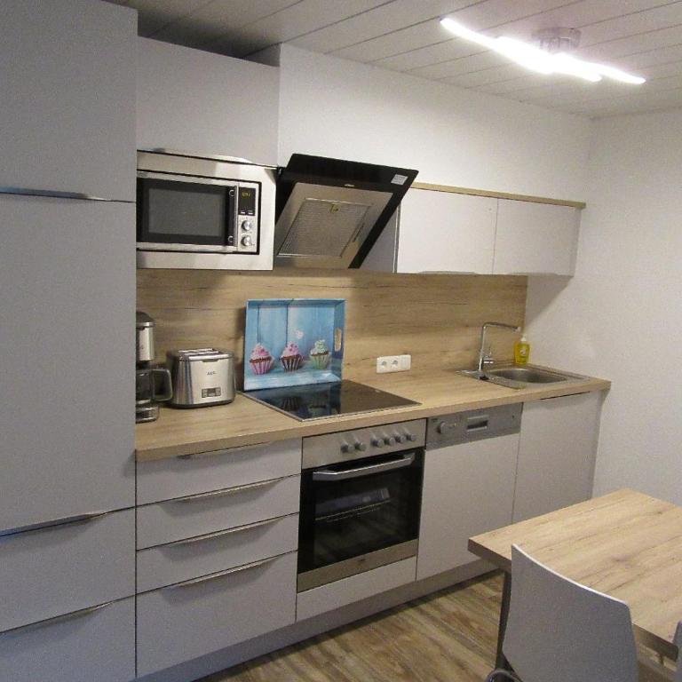 Alpen-Chalet Ehrwald - Einlieger-Apartmentzimmer (Wohn-, Schlaf. mit Kueche und Bad) im Tiefparterre - 9