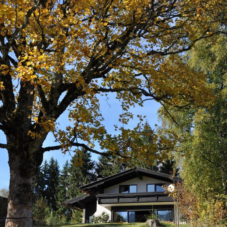 Landhaus Blaubeerhügel - Haus mit 4 Schlafzimmern - 28