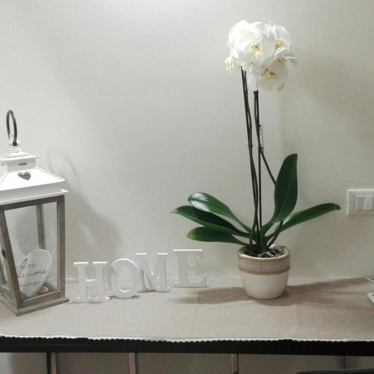 homesweethome venice - Appartamento con 1 Camera da Letto - 41