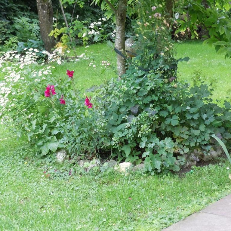 Appartementhaus Dargham - Standard Apartment - 9